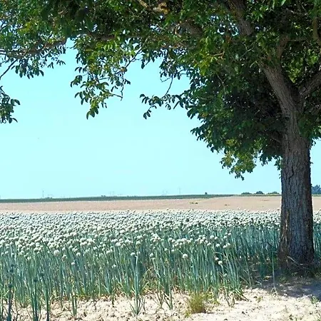 Domaine De 3* Meigné