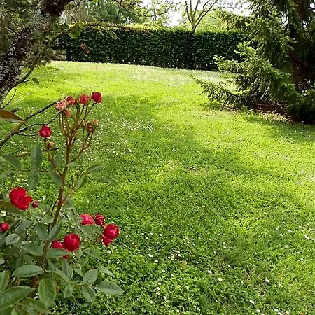 Oda ve Kahvaltı Domaine De