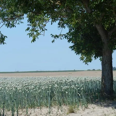 Domaine De Bed & Breakfast 3*