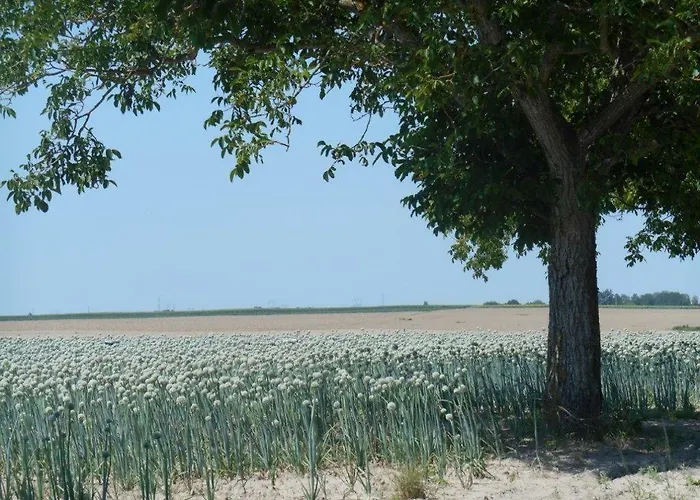 Domaine De Couette-café 3*